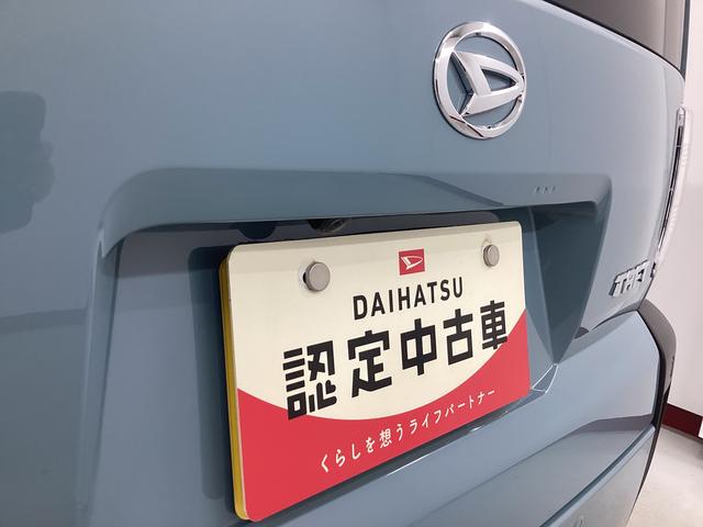 タフトＸ衝突被害軽減ブレーキ　横滑り防止装置　オートハイビーム　アイドリングストップ　ステアリングスイッチ　オートライト　キーフリーシステム　オートエアコン　パノラマカメラ　マット　バイザー（岐阜県）の中古車