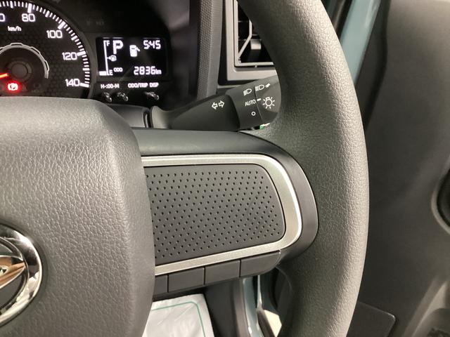 タフトＸ衝突被害軽減ブレーキ　横滑り防止装置　オートハイビーム　アイドリングストップ　ステアリングスイッチ　オートライト　キーフリーシステム　オートエアコン　パノラマカメラ　マット　バイザー（岐阜県）の中古車