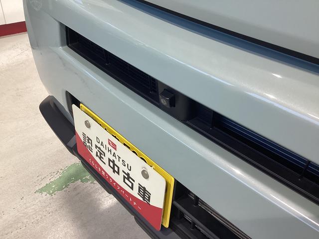 タフトＧ衝突被害軽減ブレーキ　横滑り防止装置　オートハイビーム　アイドリングストップ　ステアリングスイッチ　オートライト　キーフリーシステム　オートエアコン　パノラマカメラ　マット　バイザー（岐阜県）の中古車