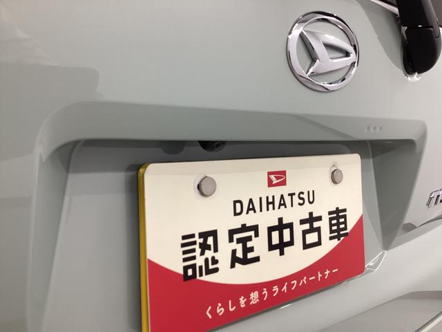 タフトＧ衝突被害軽減ブレーキ　横滑り防止装置　オートハイビーム　アイドリングストップ　ステアリングスイッチ　オートライト　キーフリーシステム　オートエアコン　パノラマカメラ　マット　バイザー（岐阜県）の中古車