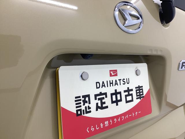 タントファンクロス衝突被害軽減ブレーキ　横滑り防止装置　オートハイビーム　アイドリングストップ　ステアリングスイッチ　オートライト　キーフリーシステム　オートエアコン　パノラマカメラ　マット　バイザー（岐阜県）の中古車