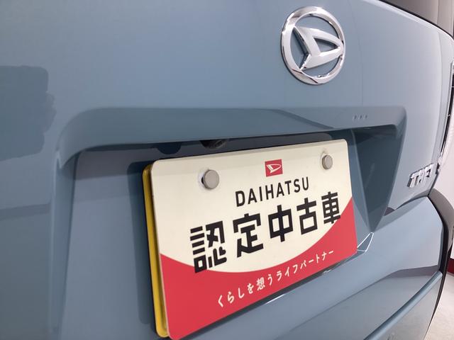 タフトX衝突被害軽減ブレーキ 横滑り防止装置 オートハイビーム アイドリングストップ ステアリングスイッチ オートライト キーフリーシステム オートエアコン パノラマカメラ マット バイザー(岐阜県)の中古車