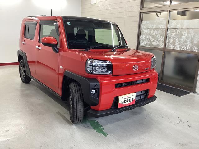 タフトＧターボ衝突被害軽減ブレーキ　横滑り防止装置　オートハイビーム　アイドリングストップ　ステアリングスイッチ　オートライト　キーフリーシステム　オートエアコン　パノラマカメラ　マット　バイザー（岐阜県）の中古車