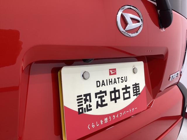 タフトＧターボ衝突被害軽減ブレーキ　横滑り防止装置　オートハイビーム　アイドリングストップ　ステアリングスイッチ　オートライト　キーフリーシステム　オートエアコン　パノラマカメラ　マット　バイザー（岐阜県）の中古車