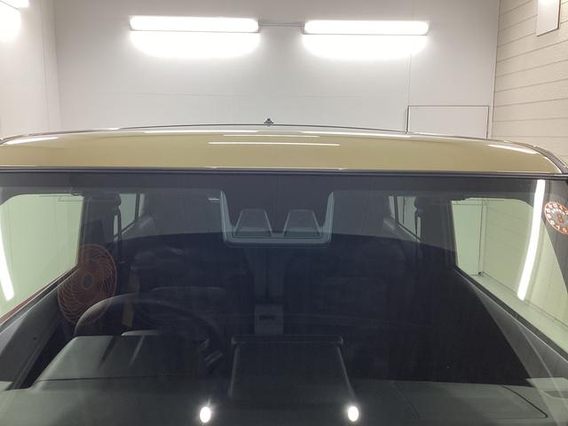 タフトＸ衝突被害軽減ブレーキ　横滑り防止装置　オートハイビーム　アイドリングストップ　ステアリングスイッチ　オートライト　キーフリーシステム　オートエアコン　パノラマカメラ　マット　バイザー（岐阜県）の中古車