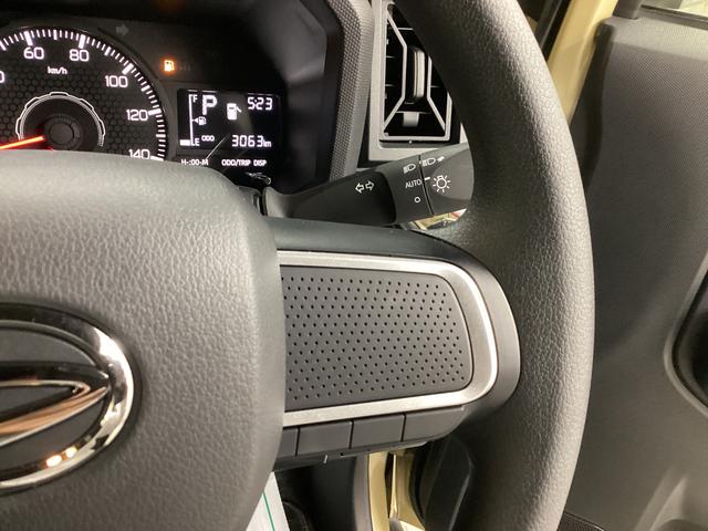 タフトＸ衝突被害軽減ブレーキ　横滑り防止装置　オートハイビーム　アイドリングストップ　ステアリングスイッチ　オートライト　キーフリーシステム　オートエアコン　パノラマカメラ　マット　バイザー（岐阜県）の中古車