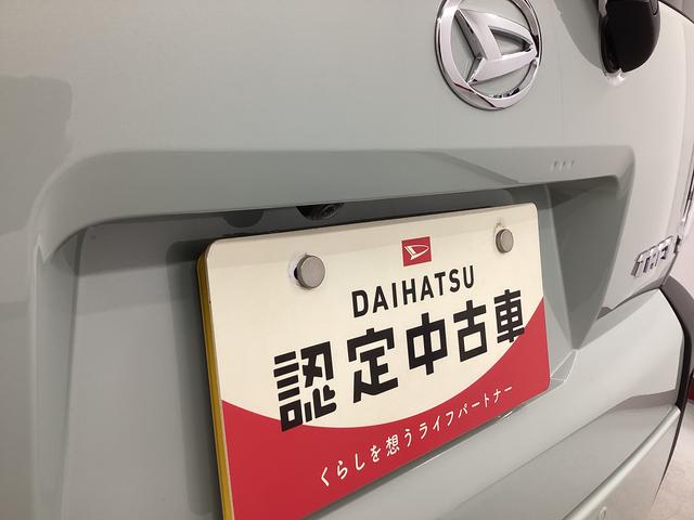 タフトＧ衝突被害軽減ブレーキ　横滑り防止装置　オートハイビーム　アイドリングストップ　ステアリングスイッチ　オートライト　キーフリーシステム　オートエアコン　マット　バイザー（岐阜県）の中古車