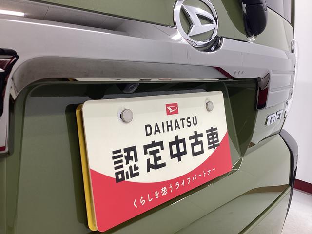 タフトＧターボ　ダーククロムベンチャー（岐阜県）の中古車
