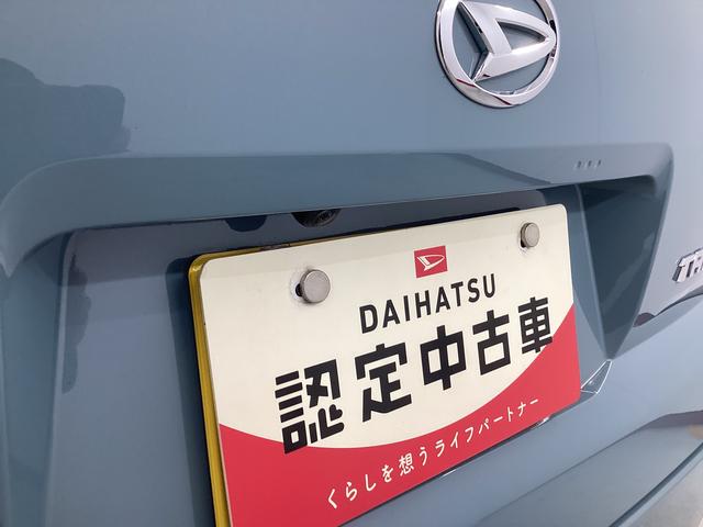 タフトＸ衝突被害軽減ブレーキ　横滑り防止装置　オートハイビーム　アイドリングストップ　ステアリングスイッチ　オートライト　キーフリーシステム　オートエアコン　パノラマカメラ　マット　バイザー（岐阜県）の中古車