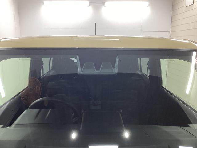 タフトＸ衝突被害軽減ブレーキ　横滑り防止装置　オートハイビーム　アイドリングストップ　ステアリングスイッチ　オートライト　キーフリーシステム　オートエアコン　パノラマカメラ　マット　バイザー（岐阜県）の中古車