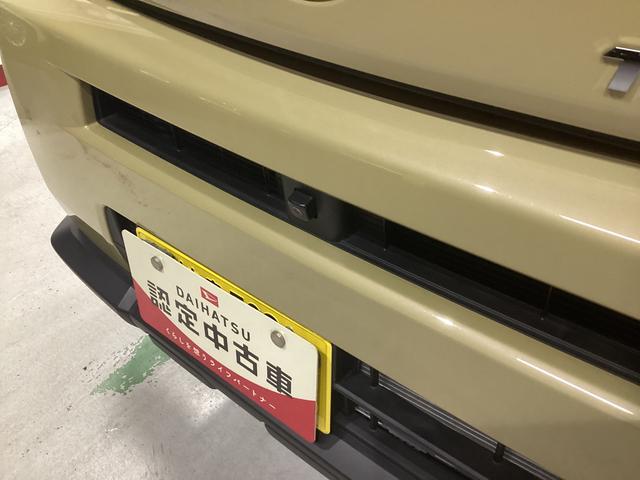 タフトＸ衝突被害軽減ブレーキ　横滑り防止装置　オートハイビーム　アイドリングストップ　ステアリングスイッチ　オートライト　キーフリーシステム　オートエアコン　パノラマカメラ　マット　バイザー（岐阜県）の中古車