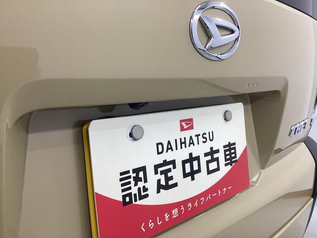 タフトＸ衝突被害軽減ブレーキ　横滑り防止装置　オートハイビーム　アイドリングストップ　ステアリングスイッチ　オートライト　キーフリーシステム　オートエアコン　パノラマカメラ　マット　バイザー（岐阜県）の中古車