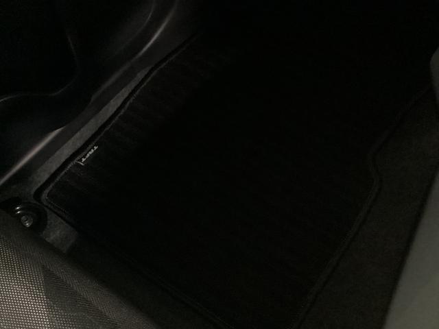 タフトＸ衝突被害軽減ブレーキ　横滑り防止装置　オートハイビーム　アイドリングストップ　ステアリングスイッチ　オートライト　キーフリーシステム　オートエアコン　パノラマカメラ　マット　バイザー（岐阜県）の中古車