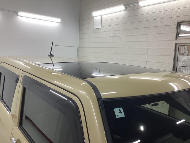 タフトＸ衝突被害軽減ブレーキ　横滑り防止装置　オートハイビーム　アイドリングストップ　ステアリングスイッチ　オートライト　キーフリーシステム　オートエアコン　パノラマカメラ　マット　バイザー（岐阜県）の中古車