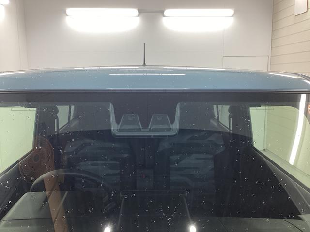 タフトＸ衝突被害軽減ブレーキ　横滑り防止装置　オートハイビーム　アイドリングストップ　ステアリングスイッチ　オートライト　キーフリーシステム　オートエアコン　パノラマカメラ　マット　バイザー（岐阜県）の中古車