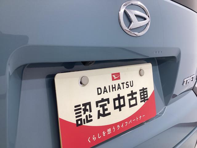 タフトＸ衝突被害軽減ブレーキ　横滑り防止装置　オートハイビーム　アイドリングストップ　ステアリングスイッチ　オートライト　キーフリーシステム　オートエアコン　パノラマカメラ　マット　バイザー（岐阜県）の中古車