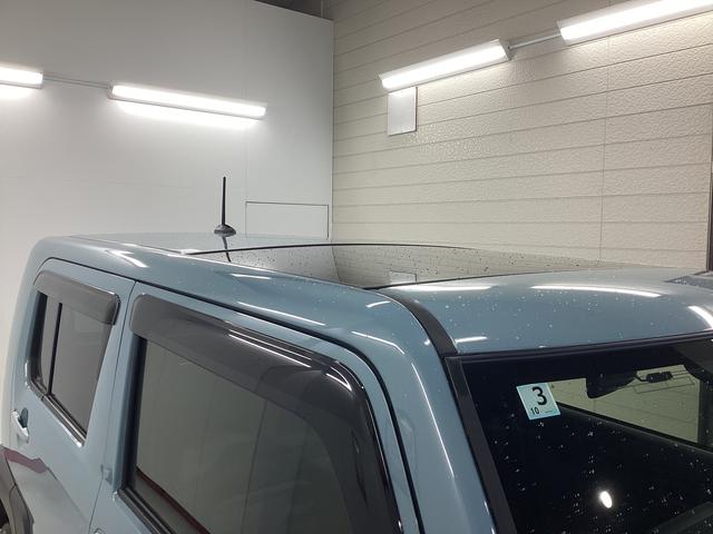 タフトＸ衝突被害軽減ブレーキ　横滑り防止装置　オートハイビーム　アイドリングストップ　ステアリングスイッチ　オートライト　キーフリーシステム　オートエアコン　パノラマカメラ　マット　バイザー（岐阜県）の中古車