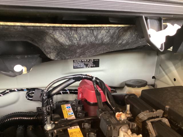 タントＸ衝突被害軽減ブレーキ　横滑り防止装置　オートハイビーム　アイドリングストップ　ステアリングスイッチ　オートライト　キーフリーシステム　オートエアコン　パノラマカメラ　マット　バイザー（岐阜県）の中古車