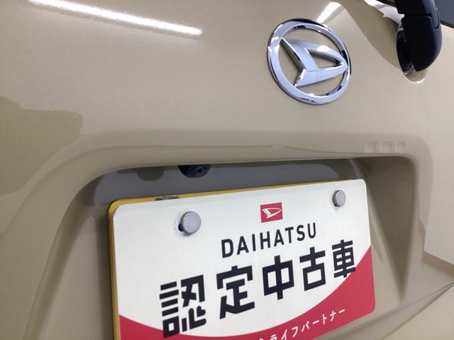 タントＸ衝突被害軽減ブレーキ　横滑り防止装置　オートハイビーム　アイドリングストップ　ステアリングスイッチ　オートライト　キーフリーシステム　オートエアコン　パノラマカメラ　マット　バイザー（岐阜県）の中古車