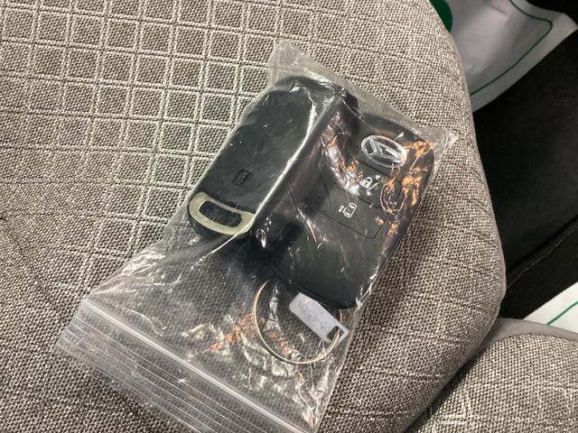 タントＸ衝突被害軽減ブレーキ　横滑り防止装置　オートハイビーム　アイドリングストップ　ステアリングスイッチ　オートライト　キーフリーシステム　オートエアコン　パノラマカメラ　マット　バイザー（岐阜県）の中古車