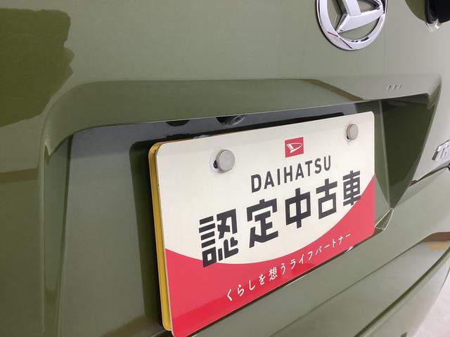 タフトＧターボ衝突被害軽減ブレーキ　横滑り防止装置　オートハイビーム　アイドリングストップ　ステアリングスイッチ　オートライト　キーフリー　オートエアコン　ナビ　ドラレコ　パノラマカメラ　ＥＴＣ　マット　バイザー（岐阜県）の中古車