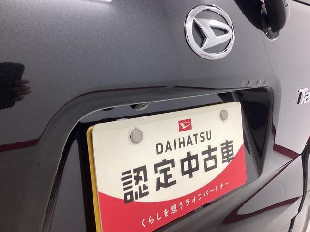 タントＸ衝突被害軽減ブレーキ　横滑り防止装置　オートハイビーム　アイドリングストップ　ステアリングスイッチ　オートライト　キーフリーシステム　オートエアコン　パノラマカメラ　マット　バイザー（岐阜県）の中古車