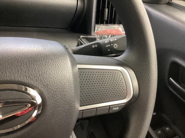 タントＸ衝突被害軽減ブレーキ　横滑り防止装置　オートハイビーム　アイドリングストップ　ステアリングスイッチ　オートライト　キーフリーシステム　オートエアコン　パノラマカメラ　マット　バイザー（岐阜県）の中古車