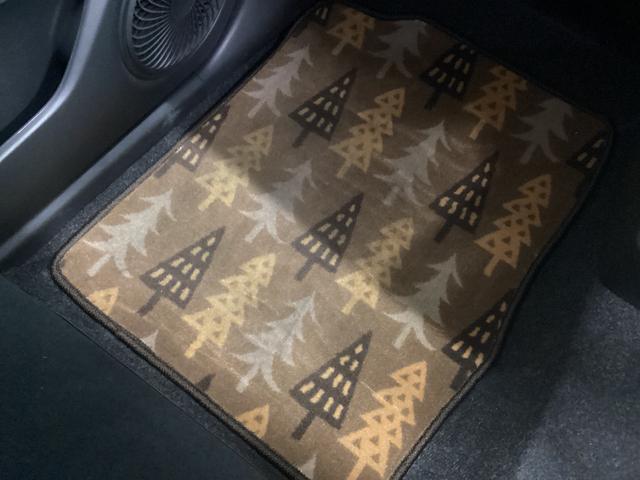 キャストアクティバＧ　リミテッド　ＳＡIII衝突被害軽減ブレーキ　横滑り防止装置　オートハイビーム　アイドリングストップ　ステアリングスイッチ　オートライト　キーフリーシステム　オートエアコン　ナビ　ドラレコ　パノラマカメラ　マット　バイザー（岐阜県）の中古車