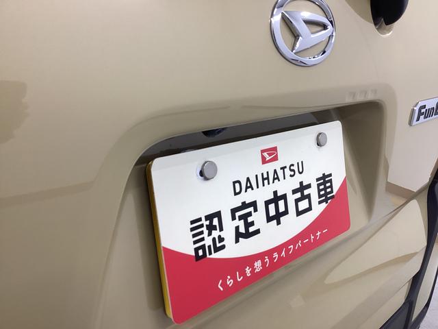 タントファンクロス衝突被害軽減ブレーキ　横滑り防止装置　オートハイビーム　アイドリングストップ　ステアリングスイッチ　オートライト　キーフリーシステム　オートエアコン　パノラマカメラ　マット　バイザー（岐阜県）の中古車