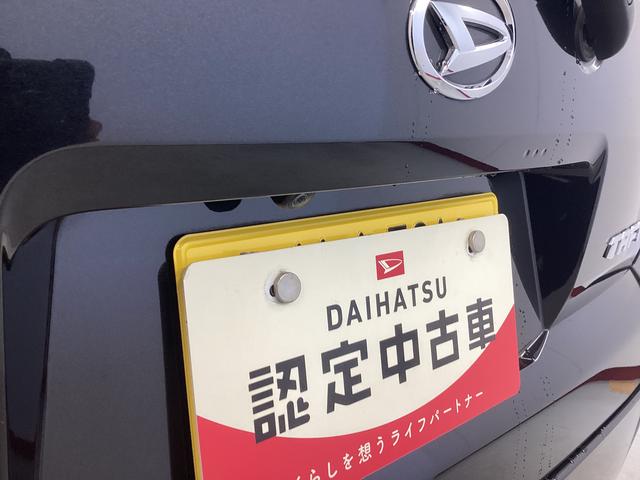 タフトＧターボ衝突被害軽減ブレーキ　横滑り防止装置　オートハイビーム　アイドリングストップ　ステアリングスイッチ　オートライト　キーフリーシステム　オートエアコン　ナビ　ドラレコ　バックカメラ　ＥＴＣ（岐阜県）の中古車