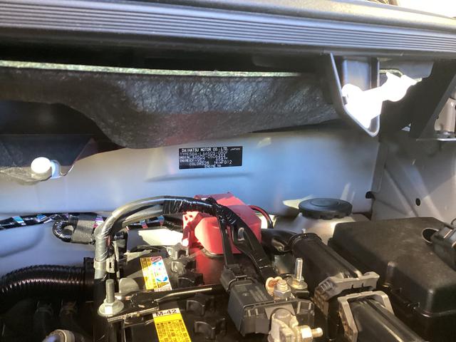 タントＸ衝突被害軽減ブレーキ　横滑り防止装置　オートハイビーム　アイドリングストップ　ステアリングスイッチ　オートライト　キーフリーシステム　オートエアコン　パノラマカメラ　マット　バイザー（岐阜県）の中古車