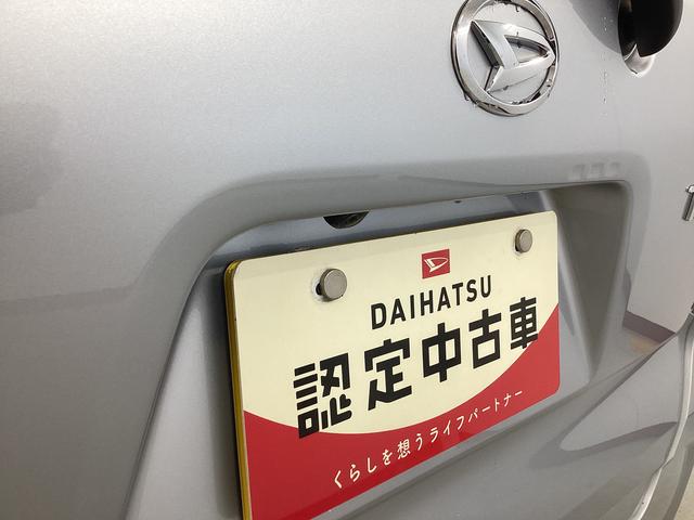 タントＸ衝突被害軽減ブレーキ　横滑り防止装置　オートハイビーム　アイドリングストップ　ステアリングスイッチ　オートライト　キーフリーシステム　オートエアコン　パノラマカメラ　マット　バイザー（岐阜県）の中古車