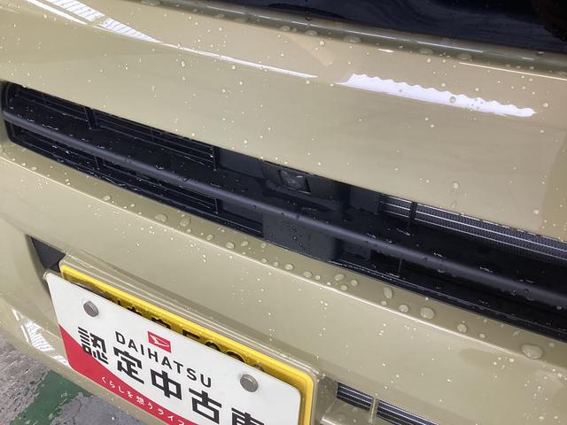 タントＸ衝突被害軽減ブレーキ　横滑り防止装置　オートハイビーム　アイドリングストップ　ステアリングスイッチ　オートライト　キーフリーシステム　オートエアコン　パノラマカメラ　マット　バイザー（岐阜県）の中古車