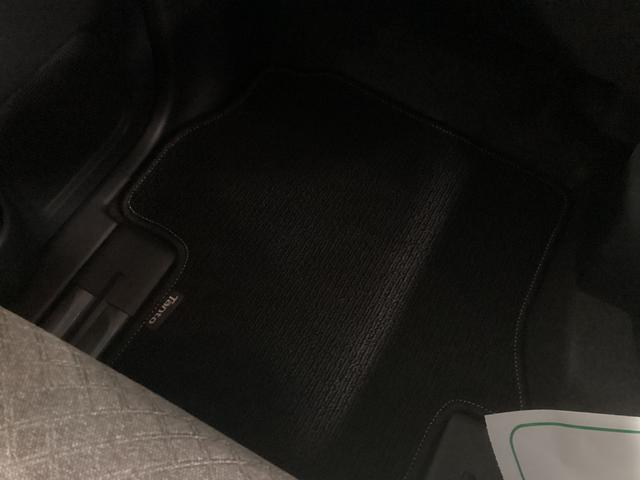 タントＸ衝突被害軽減ブレーキ　横滑り防止装置　オートハイビーム　アイドリングストップ　ステアリングスイッチ　オートライト　キーフリーシステム　オートエアコン　パノラマカメラ　マット　バイザー（岐阜県）の中古車