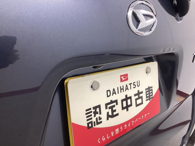 タントカスタムＸ衝突被害軽減ブレーキ　横滑り防止装置　オートハイビーム　アイドリングストップ　ステアリングスイッチ　オートライト　キーフリーシステム　オートエアコン　パノラマカメラ　マット　バイザー（岐阜県）の中古車