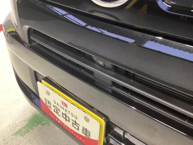 タントＸ衝突被害軽減ブレーキ　横滑り防止装置　オートハイビーム　アイドリングストップ　ステアリングスイッチ　オートライト　キーフリーシステム　オートエアコン　パノラマカメラ　マット　バイザー（岐阜県）の中古車