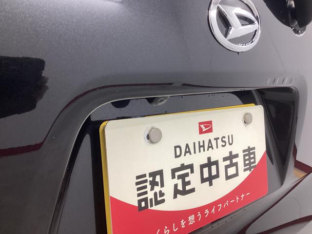 タントＸ衝突被害軽減ブレーキ　横滑り防止装置　オートハイビーム　アイドリングストップ　ステアリングスイッチ　オートライト　キーフリーシステム　オートエアコン　ナビ　ドラレコ　パノラマカメラ　ＥＴＣ　マット（岐阜県）の中古車