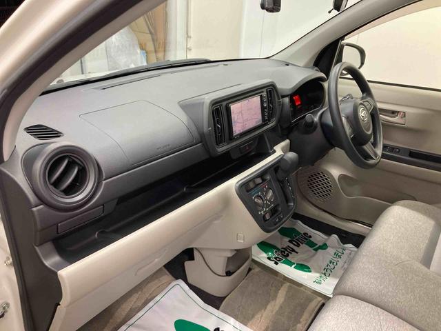 ブーンＸ　ＳＡII（岐阜県）の中古車