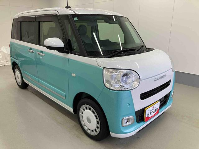 ムーヴキャンバスストライプスＧターボ衝突被害軽減ブレーキ　横滑り防止装置　オートハイビーム　アイドリングストップ　ステアリングスイッチ　オートライト　キーフリー　オートエアコン　ナビ　ドラレコ　パノラマカメラ　ＥＴＣ　マット　バイザー（岐阜県）の中古車