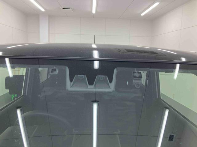 タフトGターボ ダーククロムベンチャー(岐阜県)の中古車