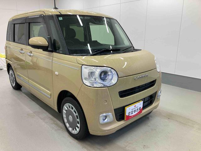 ムーヴキャンバスセオリーＧ衝突被害軽減ブレーキ　横滑り防止装置　オートハイビーム　アイドリングストップ　ステアリングスイッチ　オートライト　キーフリーシステム　オートエアコン　パノラマカメラ　マット　バイザー（岐阜県）の中古車