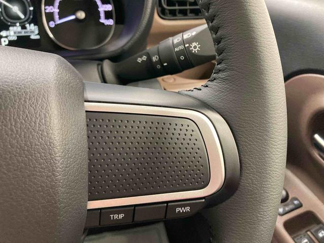 ムーヴキャンバスセオリーＧ衝突被害軽減ブレーキ　横滑り防止装置　オートハイビーム　アイドリングストップ　ステアリングスイッチ　オートライト　キーフリーシステム　オートエアコン　パノラマカメラ　マット　バイザー（岐阜県）の中古車