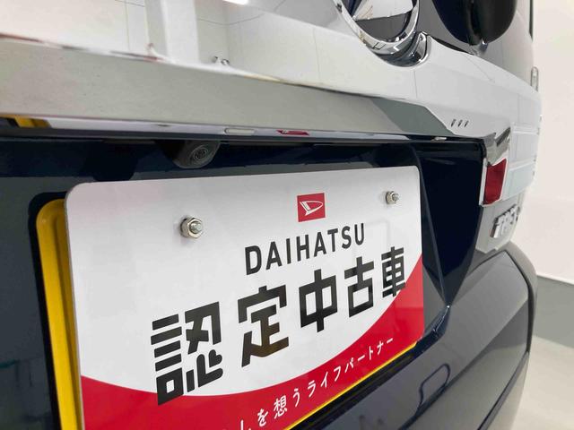 タフトＧターボ　クロムベンチャー衝突被害軽減ブレーキ　横滑り防止装置　オートハイビーム　アイドリングストップ　ステアリングスイッチ　オートライト　キーフリーシステム　オートエアコン　パノラマカメラ　マット　バイザー（岐阜県）の中古車