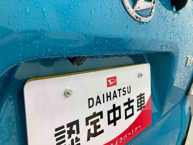 タントカスタムＸ衝突被害軽減ブレーキ　横滑り防止装置　オートハイビーム　アイドリングストップ　ステアリングスイッチ　オートライト　キーフリーシステム　オートエアコン　パノラマカメラ　マット　バイザー（岐阜県）の中古車