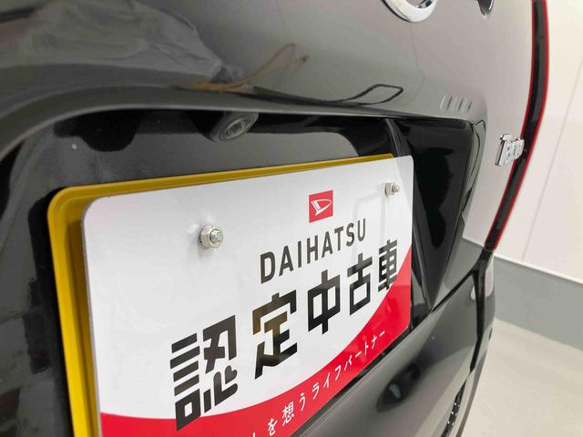 タントX衝突被害軽減ブレーキ 横滑り防止装置 オートハイビーム アイドリングストップ ステアリングスイッチ オートライト キーフリーシステム オートエアコン パノラマカメラ マット バイザー(岐阜県)の中古車