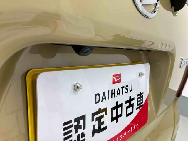 タントＸ衝突被害軽減ブレーキ　横滑り防止装置　オートハイビーム　アイドリングストップ　ステアリングスイッチ　オートライト　キーフリーシステム　オートエアコン　パノラマカメラ　マット　バイザー（岐阜県）の中古車