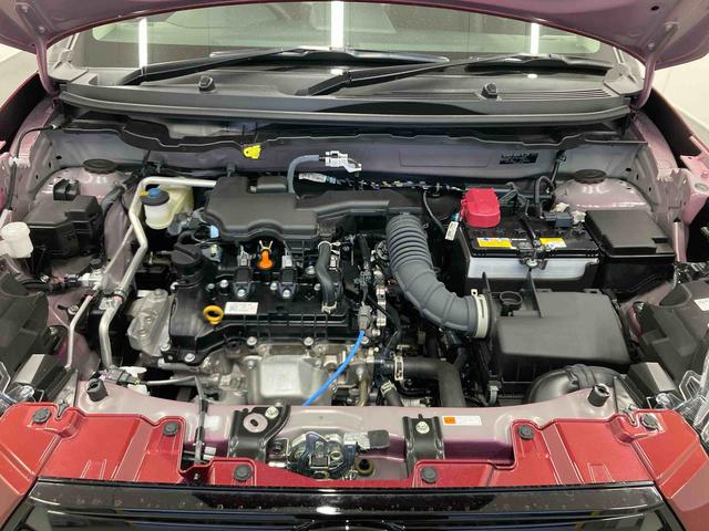 ロッキープレミアムＧ衝突被害軽減ブレーキ　横滑り防止装置　オートハイビーム　アイドリングストップ　ステアリングスイッチ　オートライト　キーフリーシステム　オートエアコン　ナビ　ドラレコ　パノラマカメラ　ＥＴＣ　マット（岐阜県）の中古車