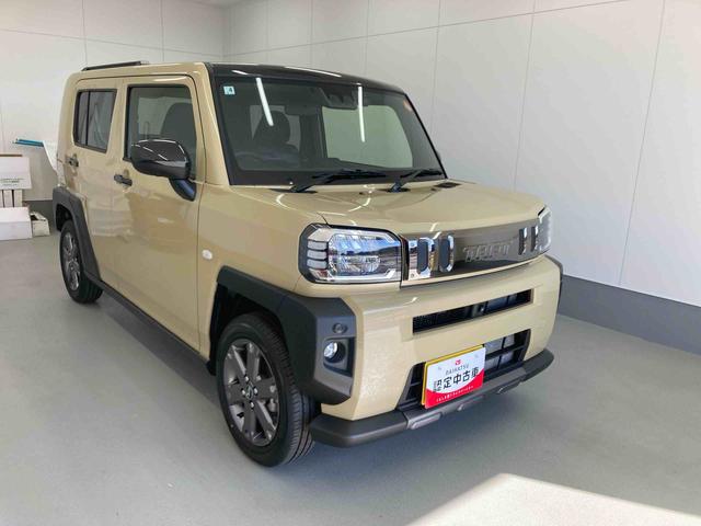 タフトＧ　ダーククロムベンチャー（岐阜県）の中古車