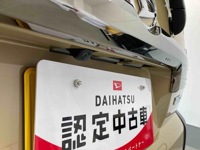 タフトＧ　ダーククロムベンチャー（岐阜県）の中古車