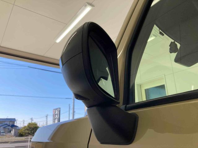 タフトＧ　ダーククロムベンチャー（岐阜県）の中古車